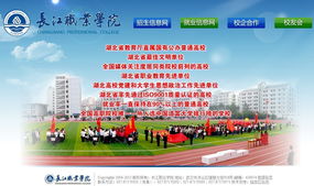 武漢市陸叁玖科技 一站式數字解決方案，助力企業騰飛